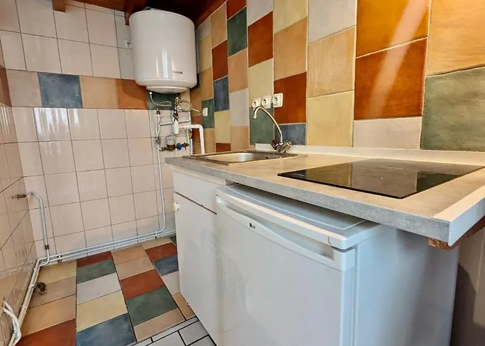 In Hyper Centre Close To Amenities * Grenoble